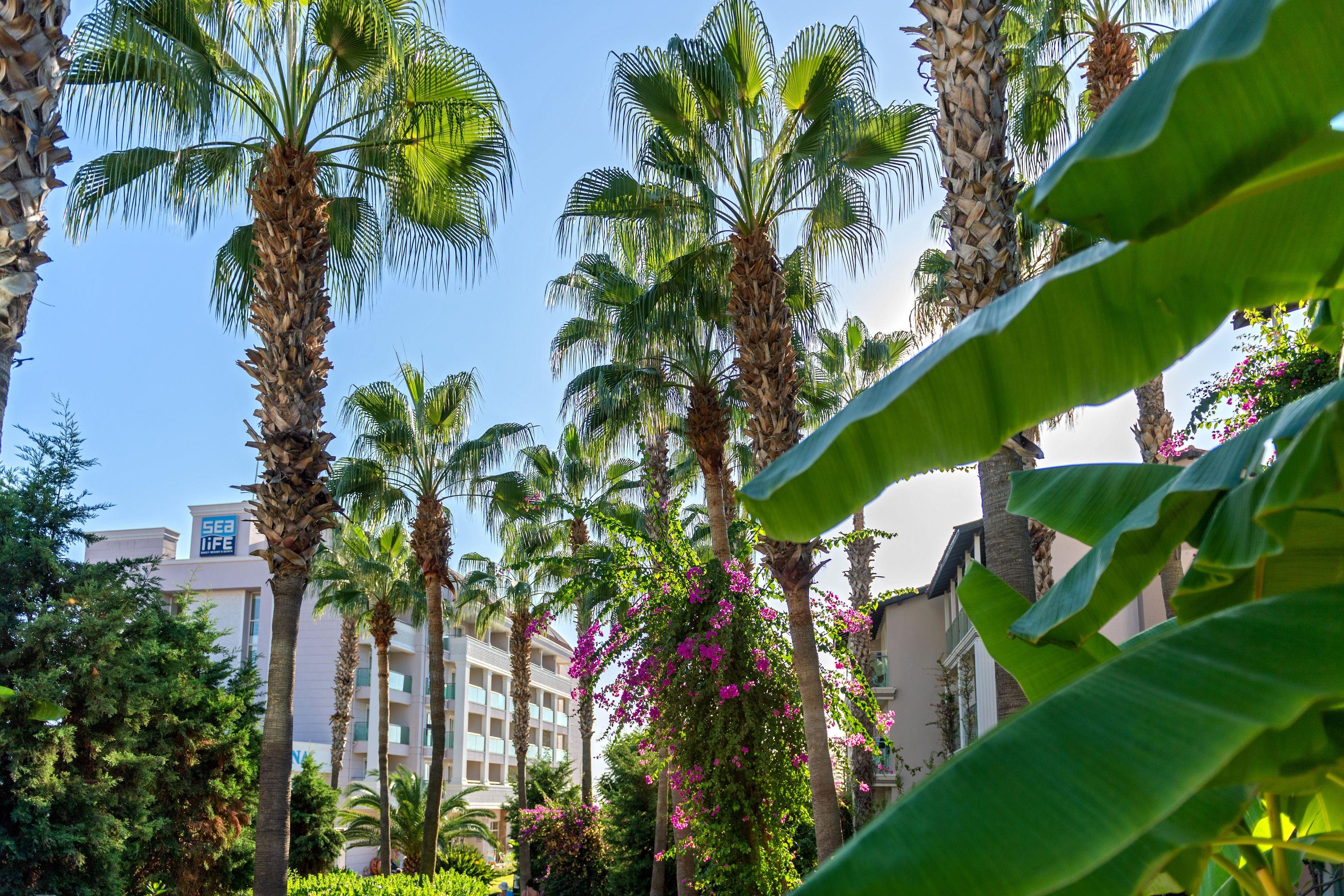 Sealife Buket Resort & Beach Hotel Окурджалар Екстериор снимка